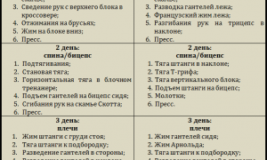 Программа тренировок на 4 дня в неделю