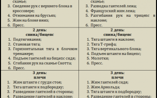 Программа тренировок на 4 дня в неделю