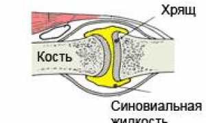Глюкозамин и хондроитин