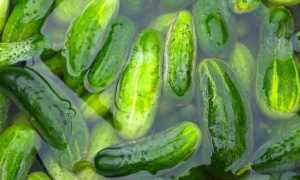Самые вкусные рецепты маринованных огурцов на зиму