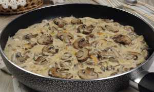 Вкусные рецепты приготовления грибов в сливочном соусе