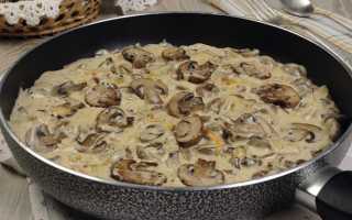 Вкусные рецепты приготовления грибов в сливочном соусе