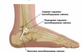 Голеностопный сустав