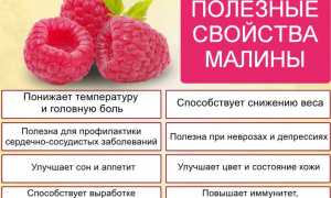 Варенье из замороженной малины
