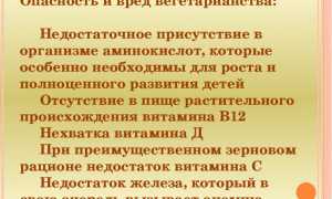 5 аргументов о вреде вегетарианства для организма и мнения специалистов