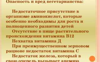 5 аргументов о вреде вегетарианства для организма и мнения специалистов