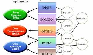 Описание образа жизни и питания питта доша