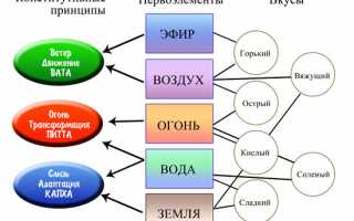 Описание образа жизни и питания питта доша