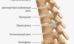 Видео йоги для позвоночника — польза занятий для спины