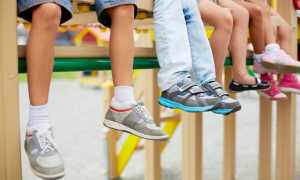 Как выбрать кроссовки для физкультуры в школе? 5 важных советов для родителей