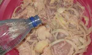 Как замариновать мясо на шашлык в минералке