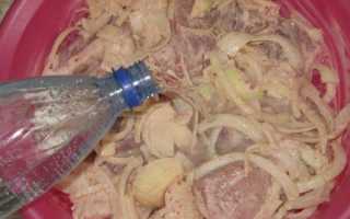 Как замариновать мясо на шашлык в минералке