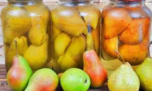 Как варить вкусный грушевый компот