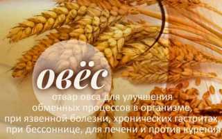 Отвар овса — обзор лечебных свойств и противопоказаний для организма