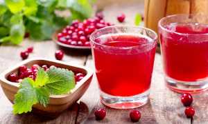 Брусничный компот: рецепты приготовления в домашних условиях