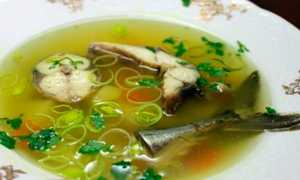Как приготовить классную уху из любой скумбрии