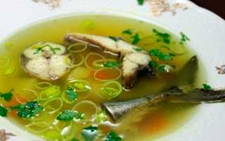 Как приготовить классную уху из любой скумбрии