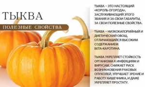Тыквенная диета — польза, меню и интересные рецепты для похудения