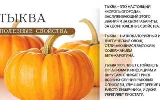 Тыквенная диета — польза, меню и интересные рецепты для похудения