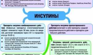 Инсулин – все что нужно знать