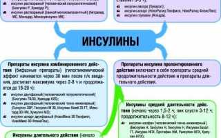 Инсулин – все что нужно знать