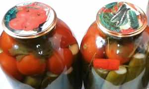 Маринованные огурцы с помидорами