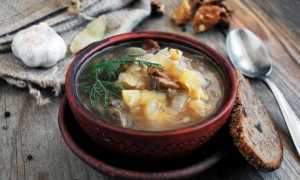 Грибные щи с квашеной капустой: лучшие рецепты приготовления