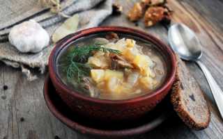 Грибные щи с квашеной капустой: лучшие рецепты приготовления