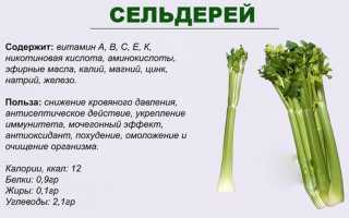 Сельдерей для здоровья мужчин с рецептами применения