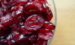 Сушеная клюква — польза и рецепты приготовления сухофрукта