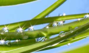 Почему важно пить воду? Сколько воды пить спортсменам?