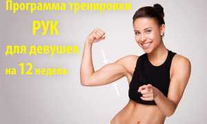 Женская программа тренировок для тонуса мышц рук
