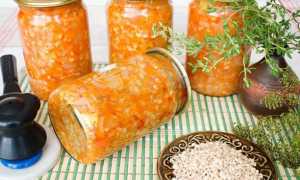 Кконсервирование рассольника с перловкой и томатным соусом на зиму