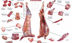 Готовим классический кавказский шашлык из баранин