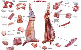 Готовим классический кавказский шашлык из баранин