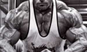 Mark Alvisi