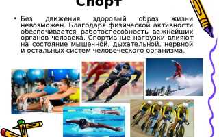 Чему учит спорт? 4 преимущества спорта для социальной сферы