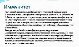 Основные отличия клеточного и гуморального иммунитета в таблице