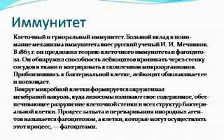 Основные отличия клеточного и гуморального иммунитета в таблице