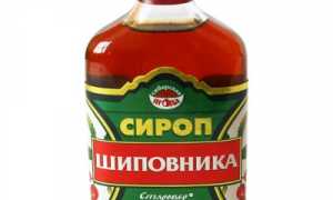 Сироп шиповника — инструкция по приготовлению и применению напитка