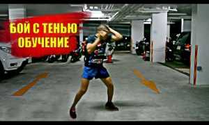 Бокс дома без оборудования. Бой с тенью — 4 главных совета как начать заниматься боксом дома