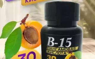 Витамин B15