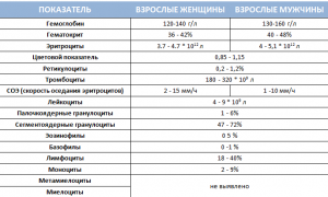 Кровь – какие анализы сдавать?