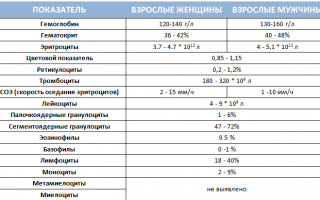 Кровь – какие анализы сдавать?
