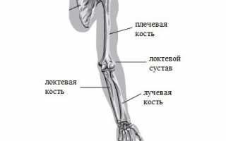 Локтевой сустав