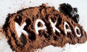 Необычные рецепты варенья из слив в шоколаде на зиму c добавками