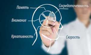 Руководство по ноотропам для чайников