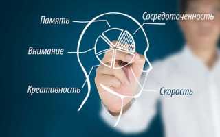 Руководство по ноотропам для чайников