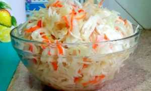 Капуста квашеная рассолом и без
