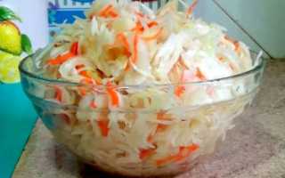 Капуста квашеная рассолом и без